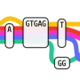 variation_graph.png